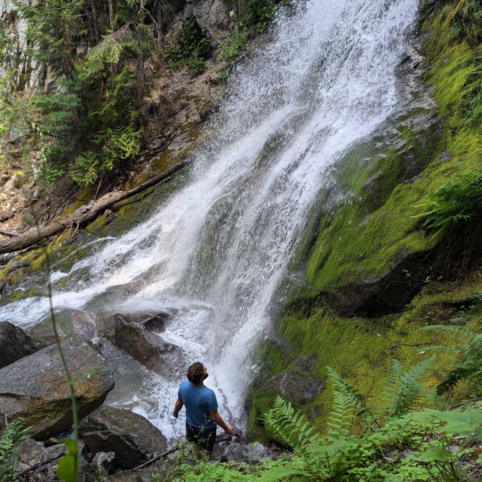 Alex Jepson artist in front of a waterfall, showcasing nature-inspired wood sculptures and intricate craftsmanship for luxury art collectors.