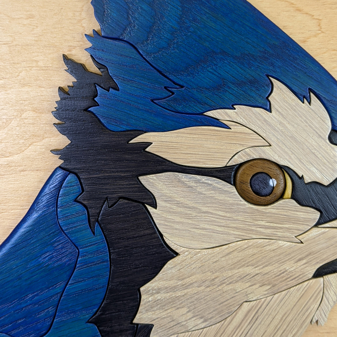 Close-up detail of Watchful Blue Jay wood sculpture by Alex Jepson, showcasing the intricate craftsmanship and vivid colors of the bird’s feathers.